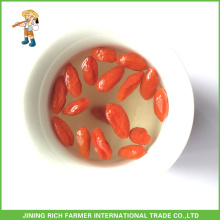 Rich Farmer Goji Berry Price With High Quality